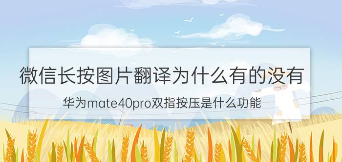 微信长按图片翻译为什么有的没有 华为mate40pro双指按压是什么功能？